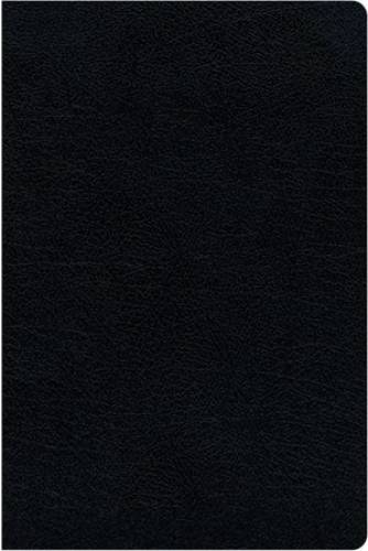 NIV Biblical Theology Study Bible