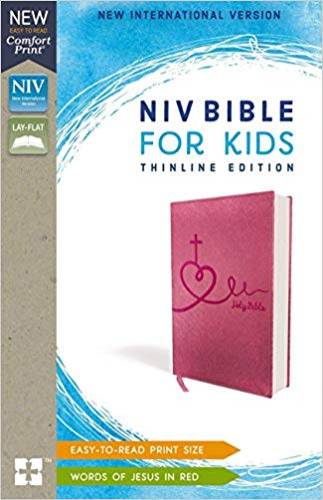 NIV Bible for Kids