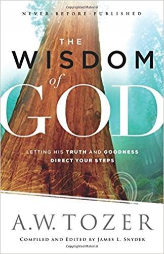 Wisdom of God the