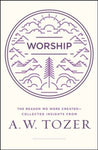 Worship The Reason We Were Created