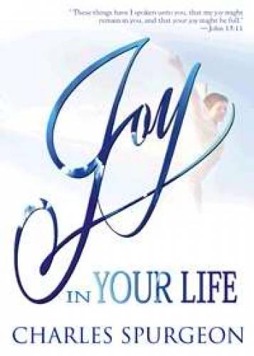 Joy in Your Life