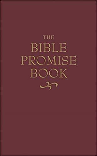 Bible Promise Book