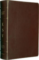 ESV Study Bible