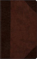 ESV Large Print Compact