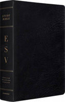 ESV Study Large Print Bible
