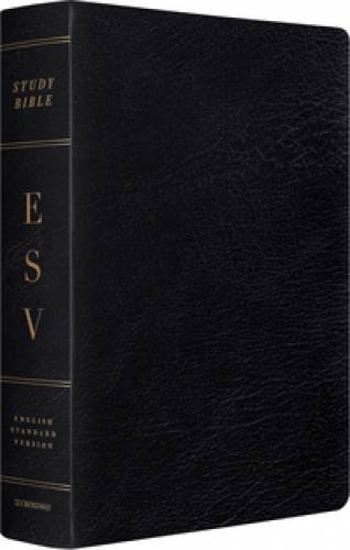 ESV Study Large Print Bible