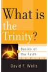 What is the Trinity