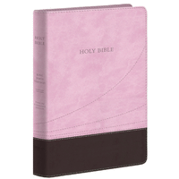 KJV Large Print Thinline Reference Bible: Chocolate/Pink