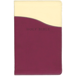 KJV Personal Size Giant Print Reference Bible