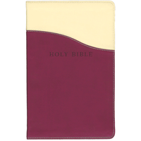 KJV Personal Size Giant Print Reference Bible