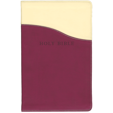 KJV Personal Size Giant Print Reference Bible