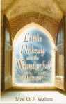 Little Nobody and the Wonderful Door
