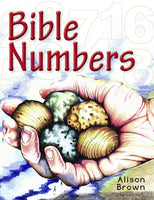 Bible Numbers INTRODUCING LITTLE CHILDREN TO SIMPLE BIBLE TRUTHS by Alison Brown
