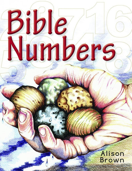 Bible Numbers INTRODUCING LITTLE CHILDREN TO SIMPLE BIBLE TRUTHS by Alison Brown
