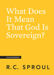 What Does it Mean That God Is Sovereign? (Crucial Questions)