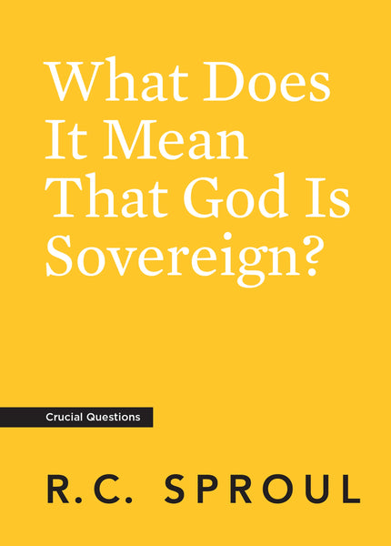 What Does it Mean That God Is Sovereign? (Crucial Questions)