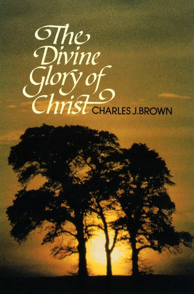 The Divine Glory of Christ