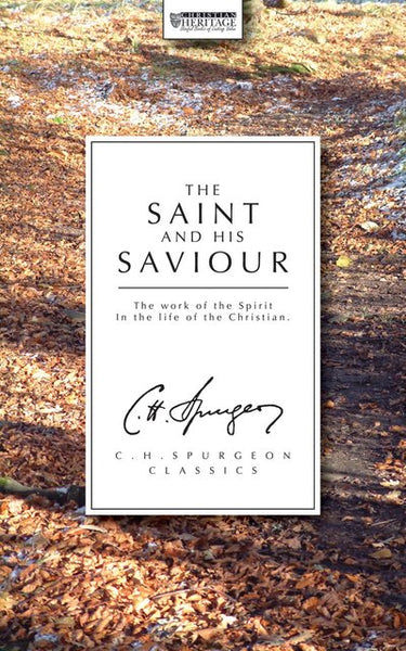 The Saint and His Saviour : The Work of the Spirit in the Life of the Christian (Paperback)