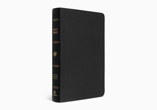 ESV Single Column Thinline Bible: Genuine Leather, Black
