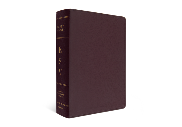 ESV Study Bible, Large Print Bonded Leather, Burgundy