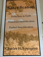 Sanctification: Jewels Series
