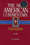 Acts: New American Commentary #26