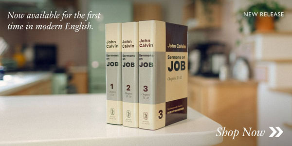 Sermons on Job - 3 volume set